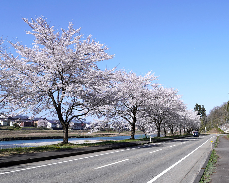 舗装工事、道路補修工事